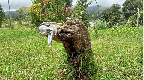 ஆனையிரங்கல் பூங்காவில் ஒடிந்து விழுந்த மரங்களை கலைநயத்துடன் வடிவமைத்து அழகாக காட்சிப்படுத்தி உள்ளனர் | படம்: என்.கணேஷ்ராஜ்