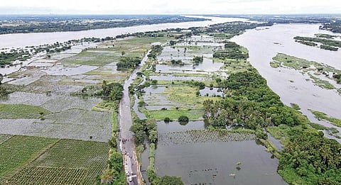 காவிரி(வலது), கொள்ளிடம்(இடது) ஆறுகளில் ஏற்பட்ட வெள்ளப் பெருக்கால், கல்லணை சாலை உத்தமர் சீலி பகுதியில் தரைப்பாலம் மற்றும் வாழை பயிர்களை மூழ்கடித்த தண்ணீர்.படம்: ஜி.ஞானவேல்முருகன்