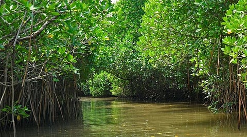 இலக்குகளை எட்ட உதவட்டும் ராம்சர் அங்கீகாரம்!