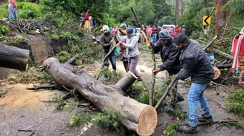 கடந்த 24 மணி நேரத்தில் நீலகிரி, கோவையில் 10 முதல் 20 செ.மீ மழை 