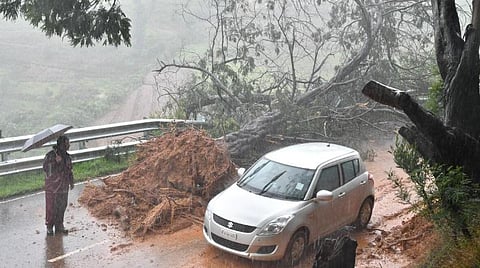 வானிலை முன்னறிவிப்பு: கோவை, நீலகிரியில் இன்று மிக கனமழை; நாளை முதல் மழை குறைய வாய்ப்பு