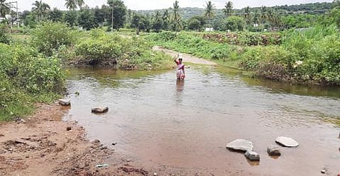 தருமபுரி மாவட்டம் அரக்காசன அள்ளி அருகே ஆபத்தான நிலையில் ஆற்றைக் கடக்கும் பெண்.