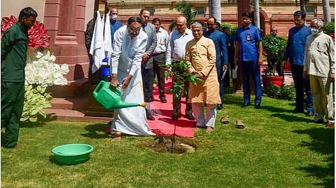குடியரசு துணைத் தலைவர் பதவியிலிருந்து ஓய்வு பெற்ற வெங்கய்ய நாயுடு நேற்று டெல்லியிலுள்ள நாடாளுமன்ற கட்டிட வளாகத்தில் சீதா அசோக மரக்கன்றை நட்டார். படம்: பிடிஐ