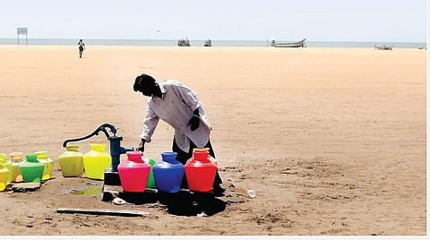 இயற்கை 24X7: எக்கர் என்னும் நீரகம்