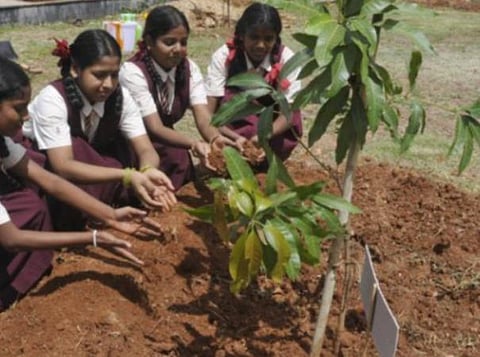 சுதந்திர தினத்தையொட்டி மரக்கன்றுகள் நடுவதை ஊக்குவிக்க வேண்டும் - மத்திய உள்துறை அமைச்சகம் அறிவுரை