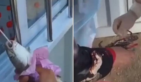 சீனா | மனிதர்களுக்கு மட்டுமல்ல... மீன், நண்டுகளுக்கும் கரோனா பரிசோதனை: காரணம் என்ன?