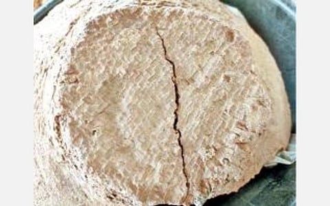 ஆதிச்சநல்லூர் அகழாய்வில் கிடைத்த முதுமக்கள் தாழியின் மூடியில் பனை ஓலை அச்சு போன்ற பதிவுகள் இருந்தன.