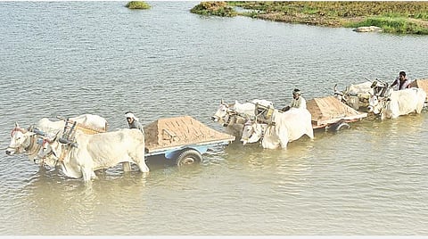 இயற்கை 24X7: மணல் – இயற்கை மருத்துவர்