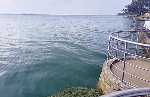 முழு கொள்ளளவில் கடல் போல காட்சியளிக்கும் வீராணம் ஏரி.