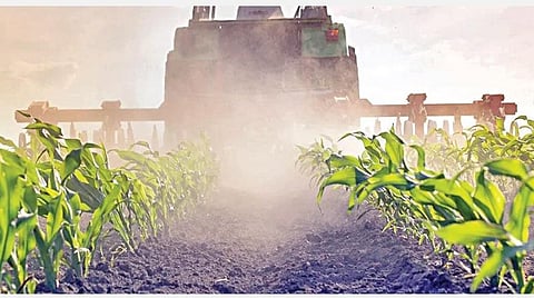 எப்போது பல ‘அமுல்’கள் உருவாகப் போகின்றன?