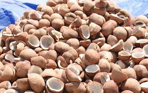 கொப்பரை கொள்முதல் செப்.30 வரை நீட்டிப்பு: விவசாயிகள் பயனடைய வேளாண் துறை செயலர் அழைப்பு