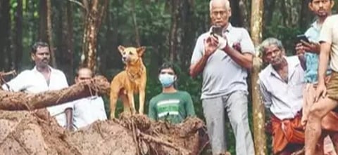 கேரளாவில் கனமழை காரணமாக ஏற்பட்ட நிலச்சரிவில் புதைந்த எஜமானர்களின் கடைசி உடல் கிடைக்கும் வரை உடன் இருந்த நாய்