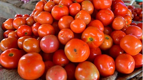 மழையால் வரத்து குறைவு: ஈரோட்டில் தக்காளி விலை இருமடங்காக உயர்வு