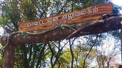 தருமபுரி: வனப்பகுதி சாலைகளில் வேகக் கட்டுப்பாட்டை பின்பற்றாத வாகனங்களால் உயிரிழக்கும் அரிய வகை உயிரினங்கள்