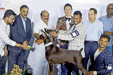 ‘தி மெட்ராஸ் கெனைன் கிளப்’ சார்பில் சென்னையில் நடைபெற்ற  நாய்கள் கண்காட்சியில், சிறந்த நாய்களின் உரிமையாளர்களுக்கு நேற்று பரிசு வழங்கினார் அமைச்சர் தா.மோ.அன்பரசன். உடன், கிளப் தலைவர் சி.வி.சுதர்சன், புரவலரும், கண்காட்சித் தலைவருமான  `இந்து' என்.ராம் உள்ளிட்டோர். படம்: பு.க.பிரவீன்