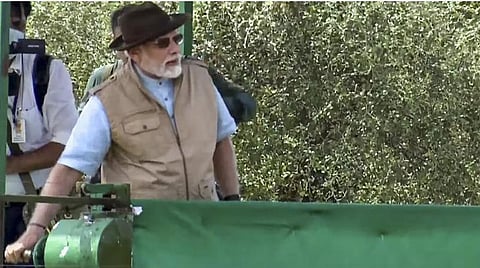 குனோ தேசிய பூங்காவில் சிவிங்கிப் புலிகளைத் திறந்துவிட்ட பிரதமர் மோடி