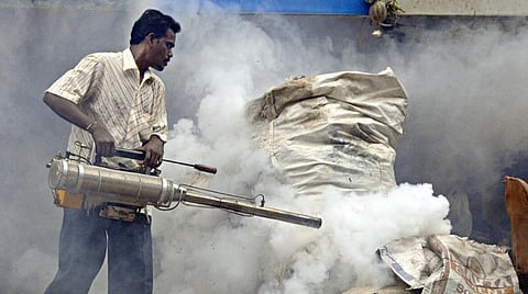 தமிழகத்தில் ஃப்ளூ காய்ச்சலைத் தொடர்ந்து அச்சுறுத்தும் டெங்கு: ஒரு மாதத்தில் இரு மடங்கு அதிகரிப்பு