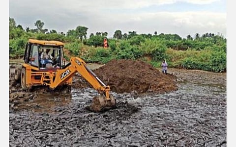 தருமபுரி மாவட்டம் இருமத்தூர் பகுதியில் வளர்க்கப்பட்ட ஆப்பிரிக்கன் கெளுத்தி வகை மீன்கள் அதிகாரிகள் முன்னிலையில் நேற்று அழிக்கப்பட்டன.