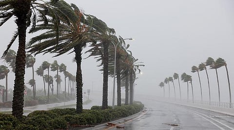 புளோரிடாவை தாக்கிய சூறாவளி | வீதிக்கு வந்த சுறா; காற்றின் வேகத்தில் சிக்கிய செய்தியாளர் - வீடியோ