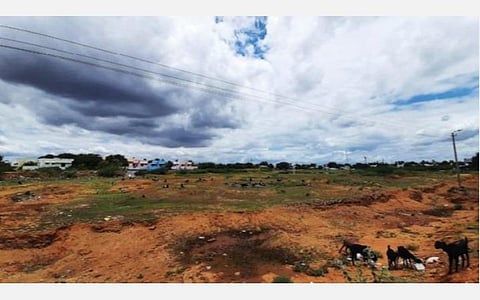 தண்ணீர் இன்றி முற்றிலும் வறண்டுவிட்ட பாளையங்கோட்டை வி.எம். சத்திரம் பீர்க்கன்குளத்தின் பரிதாப தோற்றம். படம்: மு.லெட்சுமி அருண்