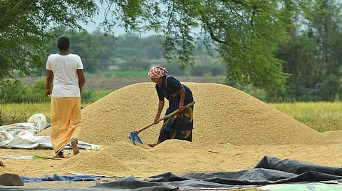 நெல் கொள்முதல்: தேவை கொள்கையில் மாற்றம்!