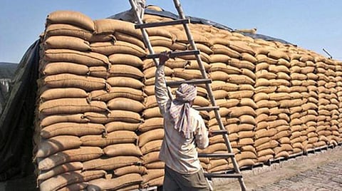 கோதுமை, கடுகு உட்பட 6 விளைபொருளுக்கு ஆதரவு விலை அதிகரிப்பு - அமைச்சரவை குழு கூட்டத்தில் முடிவு