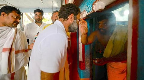 கர்னூல் மாவட்டம், ஆதோனியில் உள்ள மகாலட்சுமி கோயிலில் வழிபட்ட ராகுல்.