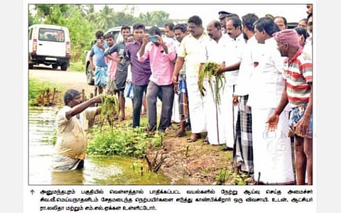 கொள்ளிடம் ஆற்றின் வெள்ளப் பெருக்கால் 500 ஏக்கரில் தண்ணீர் புகுந்து நெற்பயிர்கள் சேதம்