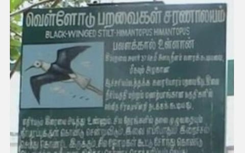 வெள்ளோட்டில் 10+ கிராமங்களில் பறவைகளுக்காக பட்டாசு வெடிக்காமல் தீபாவளி கொண்டாடிய மக்கள்