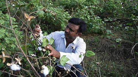 குஜராத் விவசாயிகளுக்கு ரூ.630 கோடி நிவாரண நிதி