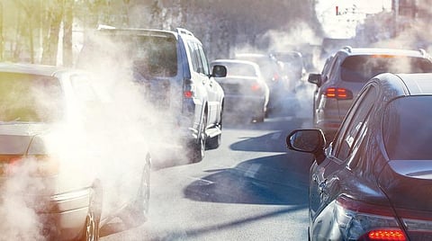 இயற்கை 24X7 - 28: புகை என்னும் பகை