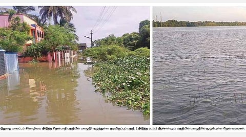 மயிலாடுதுறையை பேரிடர் பாதித்த மாவட்டமாக அறிவிக்க விவசாயிகள், பொதுமக்கள் கோரிக்கை