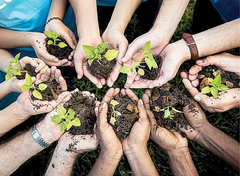 வெற்றி நூலகம்: பேப்பர் பூத்த மரம்