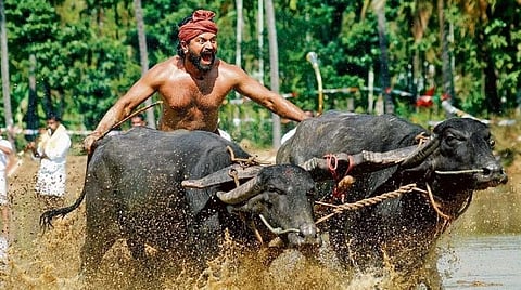 உலக அளவில் ரூ.400 கோடியை வசூலித்த ‘காந்தாரா’