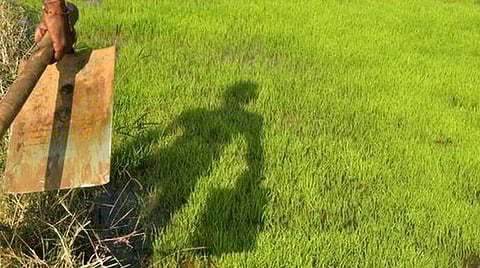 நாடு முழுவதும் விவசாயிகள் போராட்டம்: ஐக்கிய விவசாயிகள் முன்னணி ஒருங்கிணைப்பாளர் திட்டவட்டம்