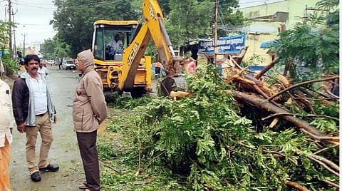 மரங்களை அகற்றும் ஊழியர்கள்