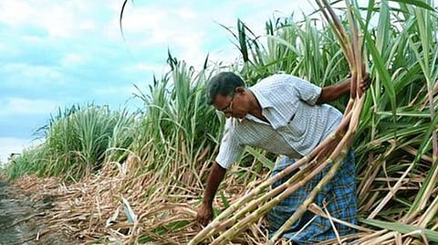 கோப்புப்படம்