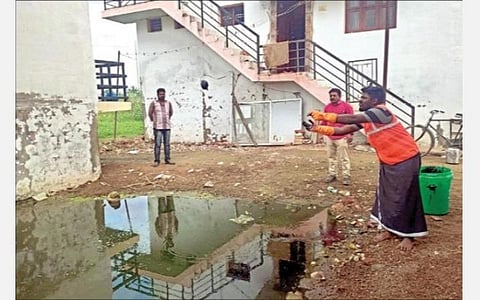 மேலப்பாளையத்தில் மழை நீர் தேங்கிய பகுதிகளில் எண்ணெய் பந்துகளை சுகாதாரப் பணியாளர்கள் வீசினர்.