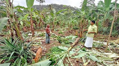 பிரதிநிதித்துவப் படம்
