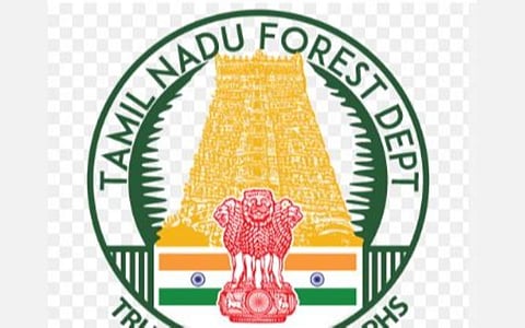 யானைகள் வருவதை தடுக்க வீடுகளில் வாழை, பலா மரங்களை வளர்க்க வேண்டாம்: வால்பாறை வனத்துறை அறிவுறுத்தல்