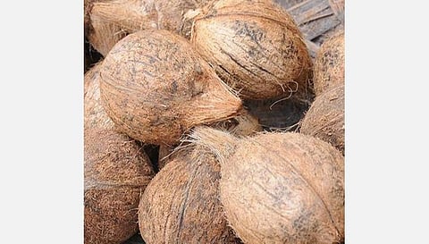 பிரதிநிதித்துவப் படம்