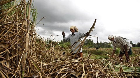 கோப்புப் படம்