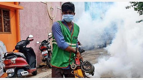 ஒழியாத கொசு; புகை பரப்புவதை மட்டுமே தீர்வாக கருதும் மாநகராட்சி நிர்வாகம்: முதல்வரும், பொது சுகாதாரத் துறையும் தலையிட்டு தீர்வு காணப்படுமா?