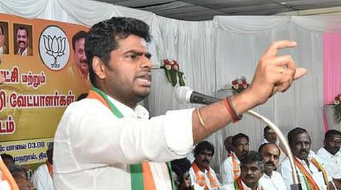 அண்ணாமலை | கோப்புப் படம்