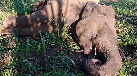 கோப்புப்படம்