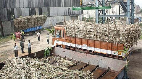 பிரதிநிதித்துவப் படம்