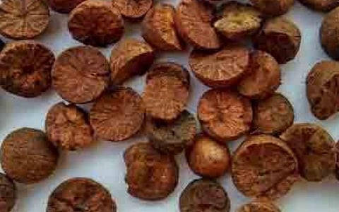 தூத்துக்குடி | வெளிநாட்டிலிருந்து முறைகேடாக இறக்குமதி: ரூ.3.5 கோடி மதிப்பு கொட்டைப்பாக்கு பறிமுதல்