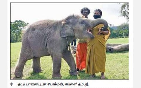 முதுமலை யானை பராமரிப்பு தம்பதியின் கதையான தி எலிபெண்ட் விஸ்பர்ஸ் ஆஸ்கர் விருது போட்டிக்கு தேர்வு