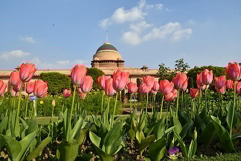 அம்ரித் உத்யன் என்று பெயர் மாற்றப்பட்ட முகலாய தோட்டம்