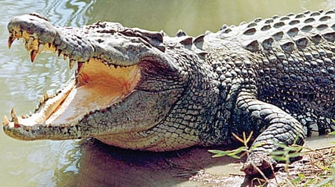 டிங்குவிடம் கேளுங்கள் 25: முதல்ல இது தெரிஞ்சாகனும்!